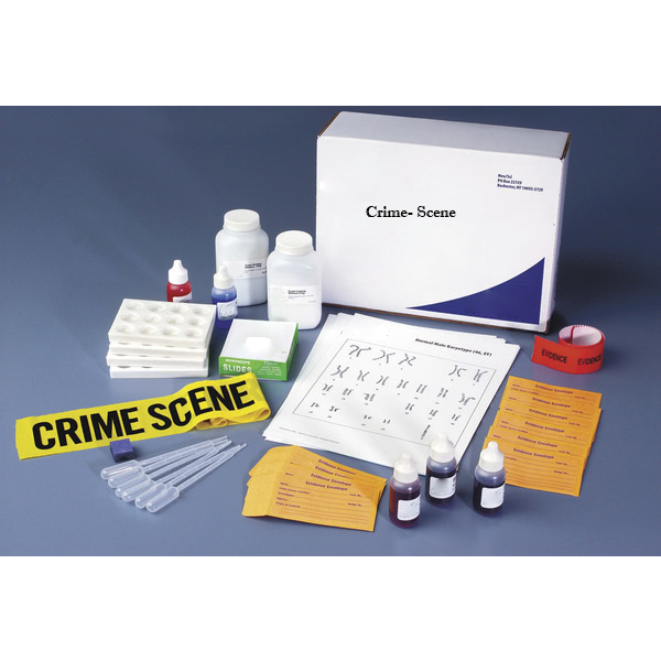 Crime Scene Investigation