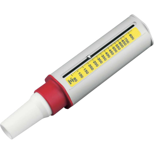 Peak flow meter