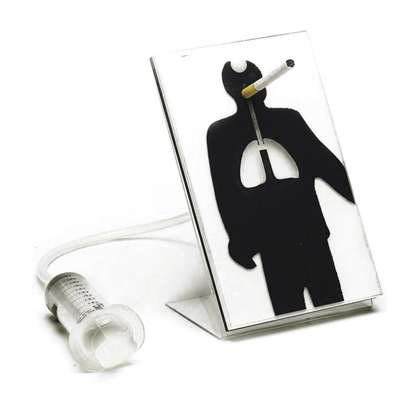 Effects of Smoking Model