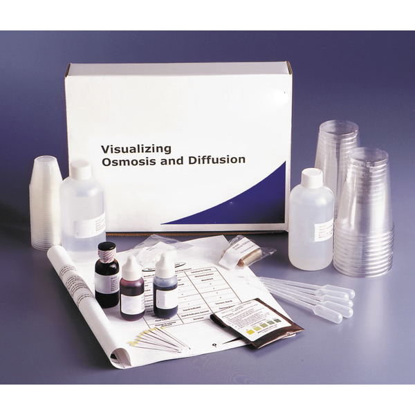 Visualising Osmosis &amp; Diffusion Investigation
