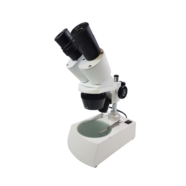 Stereo Binocular Microscope