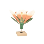 Typical Flower Model