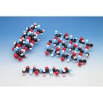 Polypeptide Molecular Model Kit